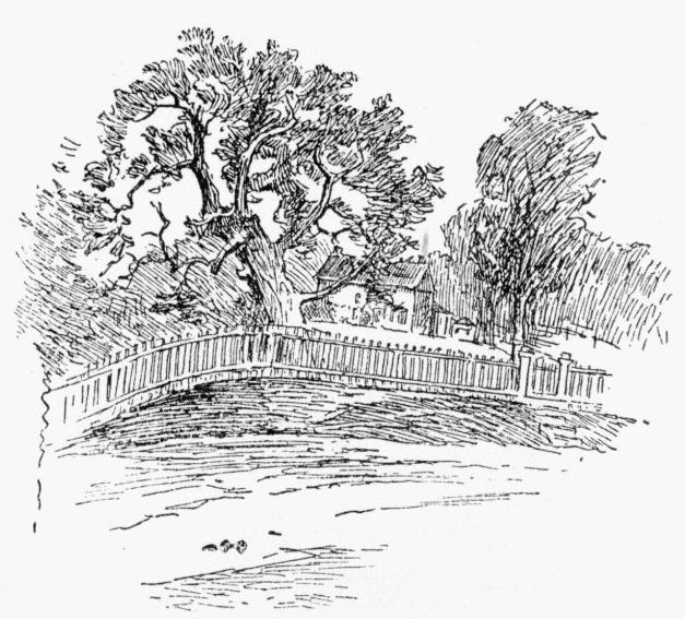The Charter Oak.