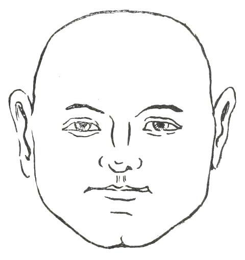 Fig. 18  BROAD FACE