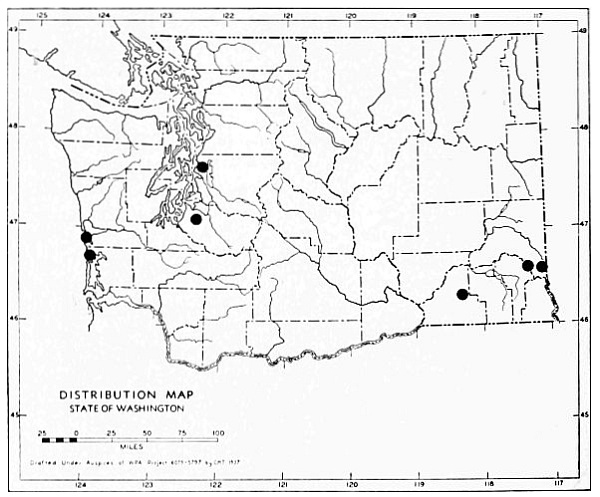 Fig. 46.