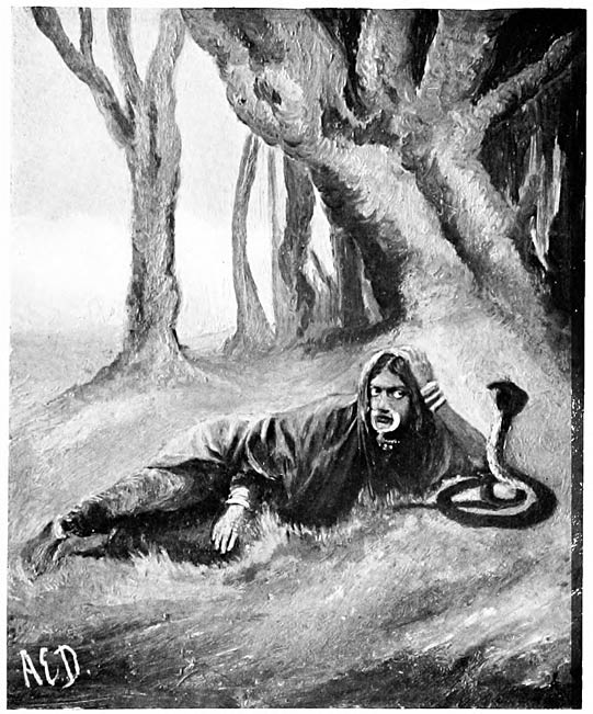 The Snake’s Bride