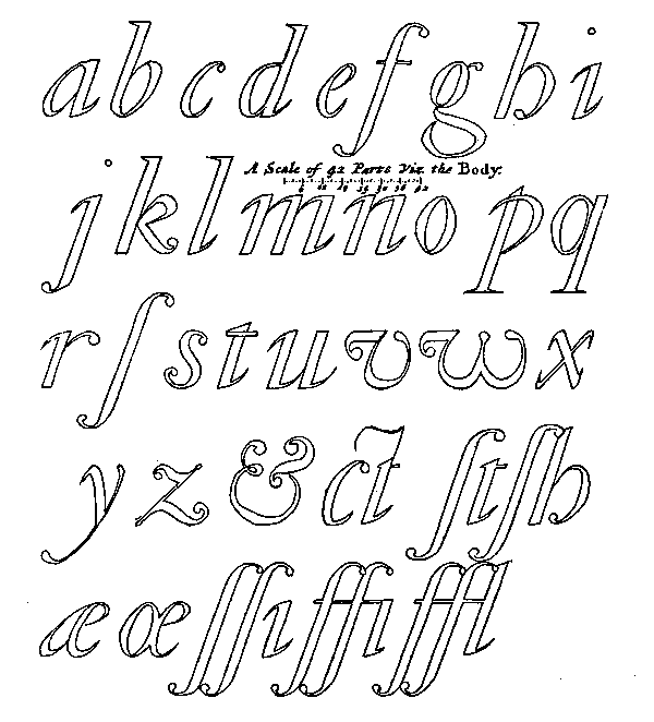 Image: Plate 14.