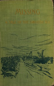 "In Sargasso." Missing, a romance, Julius Chambers