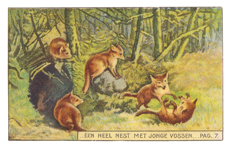 ...EEN HEEL NEST MET JONGE VOSSEN... PAG. 7.
