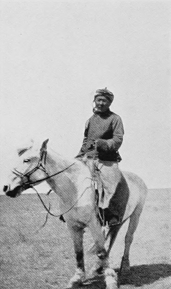 reins