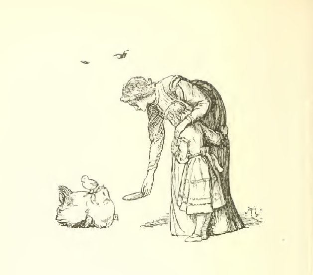 A white hen sitting