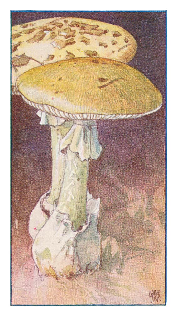 78