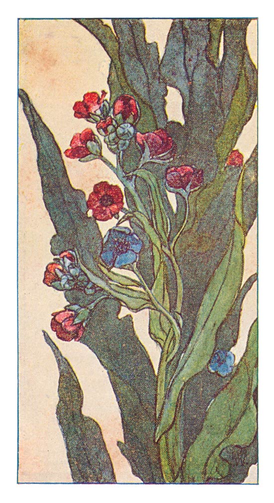 80