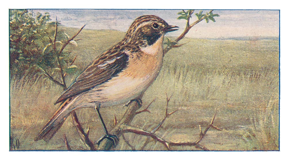 85