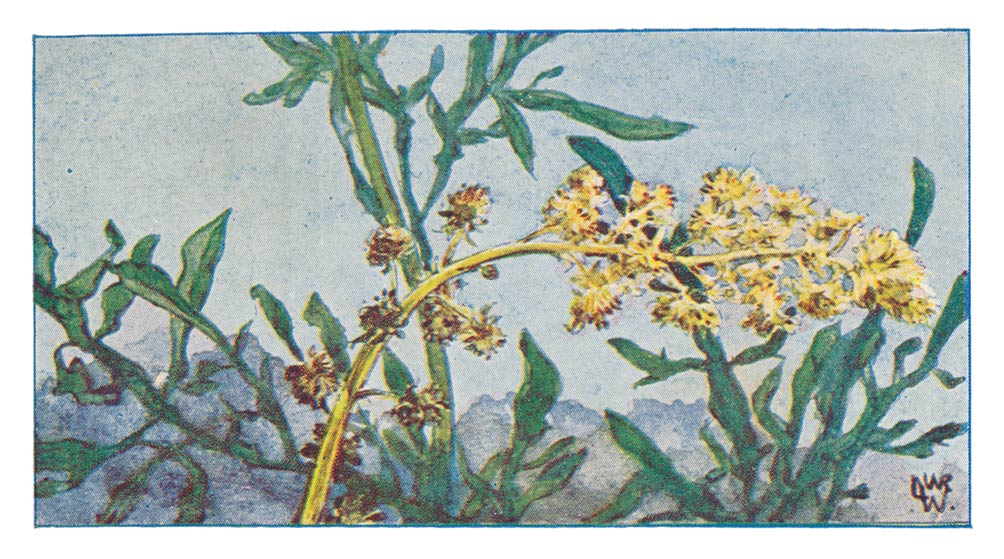 109