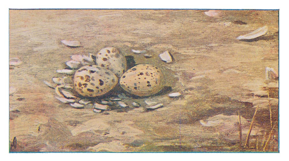 126