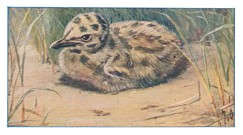 132