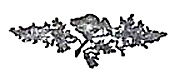 image015