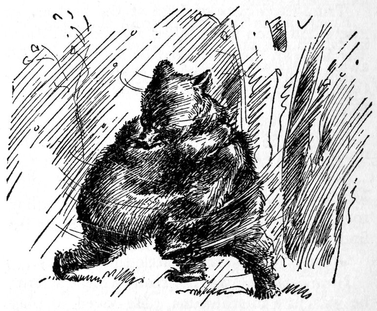 [Bears]