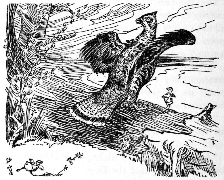 [Hen]