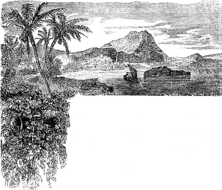 Cabecera ilustrada