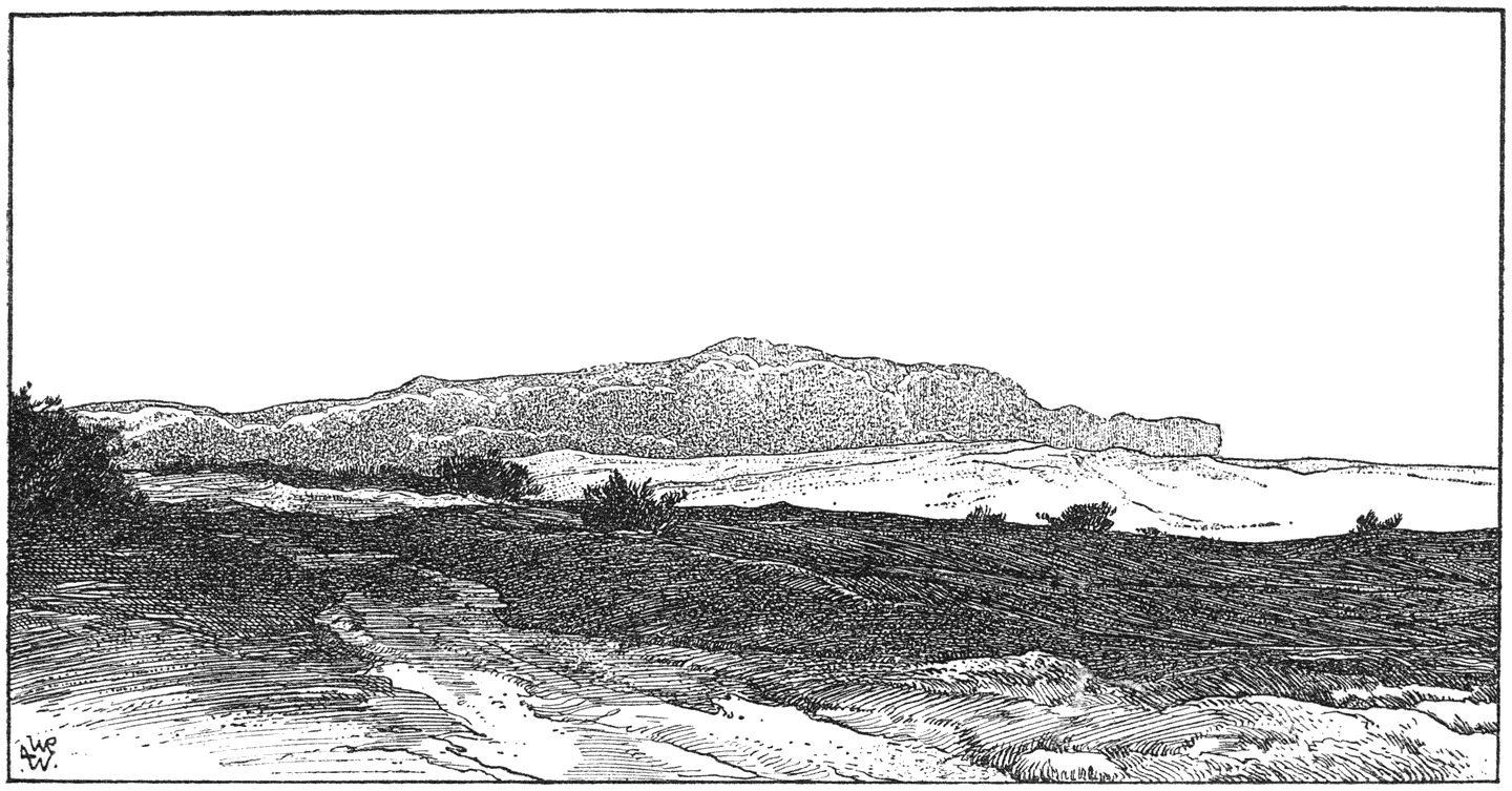 Heide bij Hilversum.