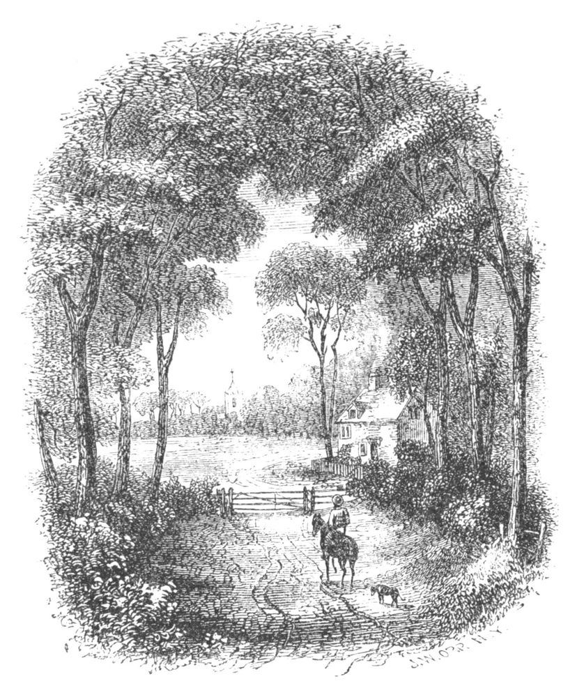 Person on horse riding through trees to a gate