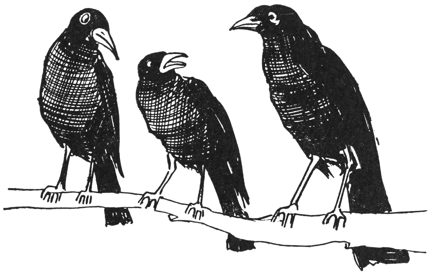 ‘There is some secret about his wings’