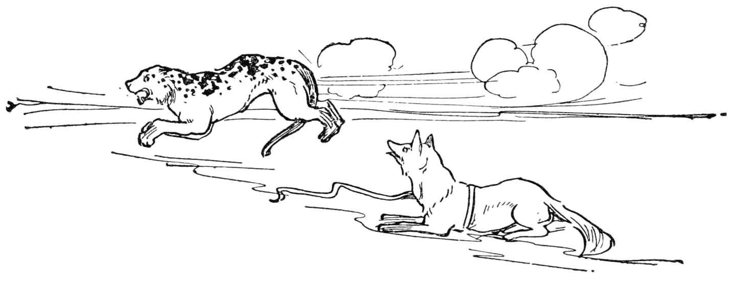 They rushed on and on