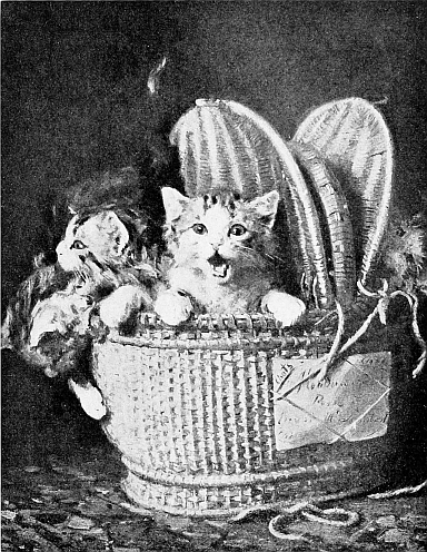 meowing kittens in basket