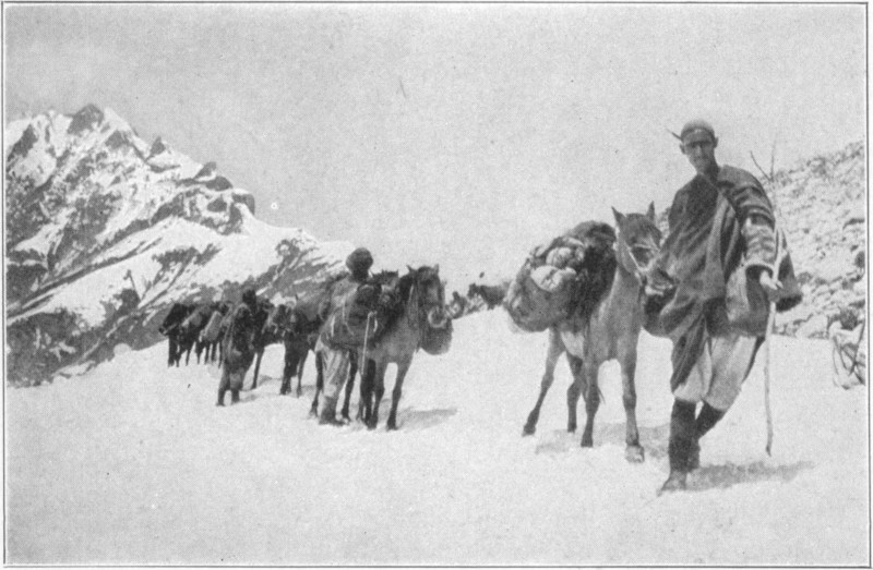 A row of men and horses walking in snow, with the top of a mountain in the background.