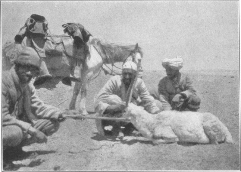 Three men crouching around an antelope, with a horse in the background.