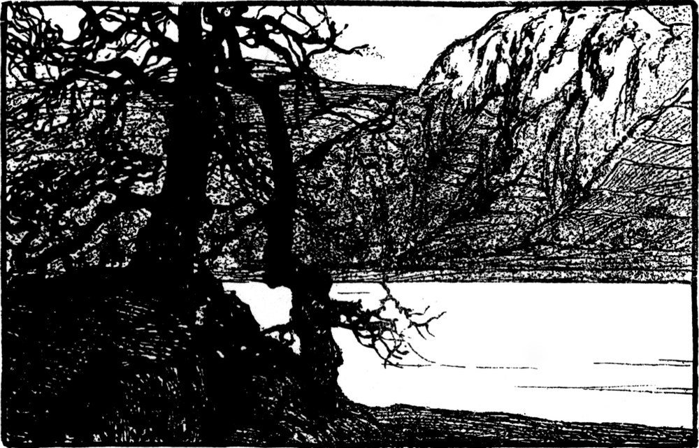 Blick auf ein Flusstal, zwei   Bäume im Vordergrund